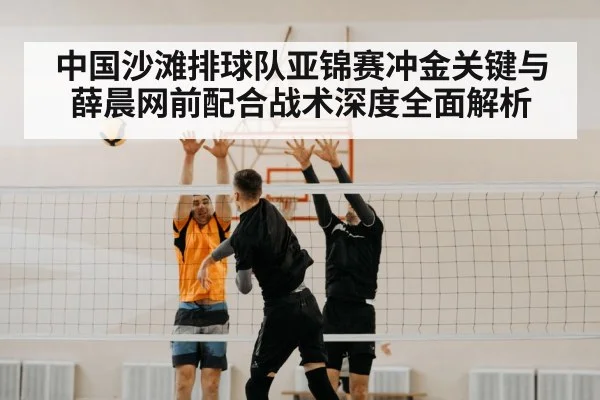 volleyball net block